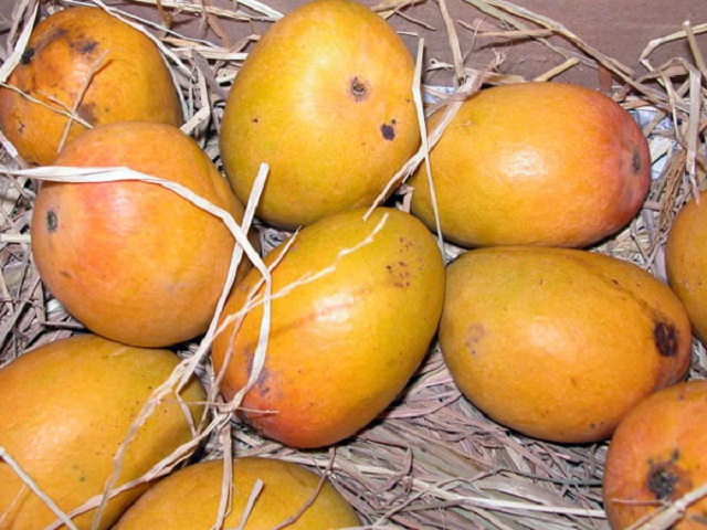 Vua của trái cây giúp phòng ung thư và bệnh tim: Loại quả dễ mua bạn nên ăn hàng ngày - Ảnh 1. Vua của trái cây giúp phòng ung thư và bệnh tim: Loại quả dễ mua bạn nên ăn hàng ngày - Ảnh 1.